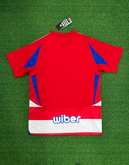 Camiseta local Granada 24725